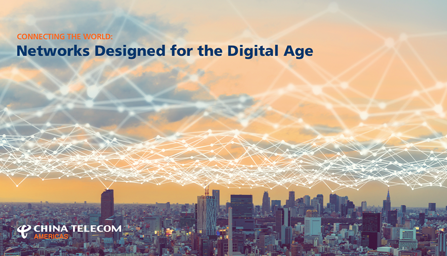 Networks Designed for the Digital Age - Global Case Study